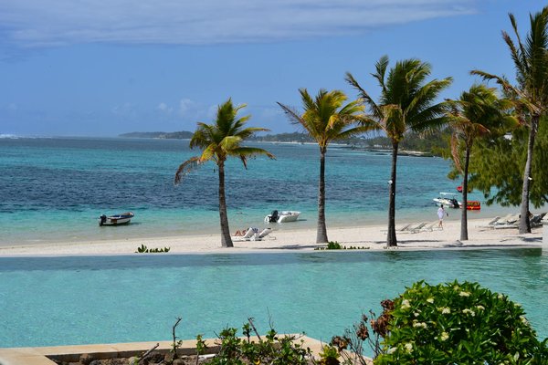 Où apprendre l'art de la cuisine méditerranéenne en Grèce?