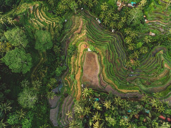 Comment trouver une location de vacances à Bali avec des cours de méditation et des visites de temples?